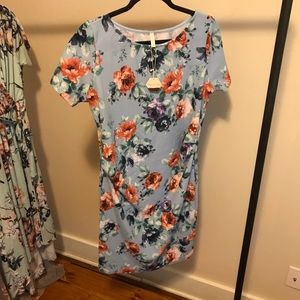 Brand New Pink Blush Dress